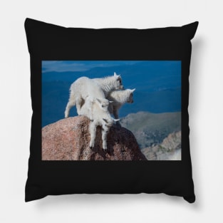 Over The Edge Pillow