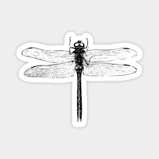 Dragonfly | Vintage Dragonfly | Black and White | Magnet