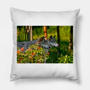 Timber Wolves Pillow