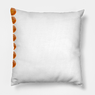 Dragon Balls Pillow