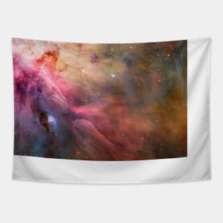 The Butterfly Nebula - Beautiful Universe Tapestry