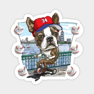 Boston Terrier Dog with Red Baseball Hat Magnet