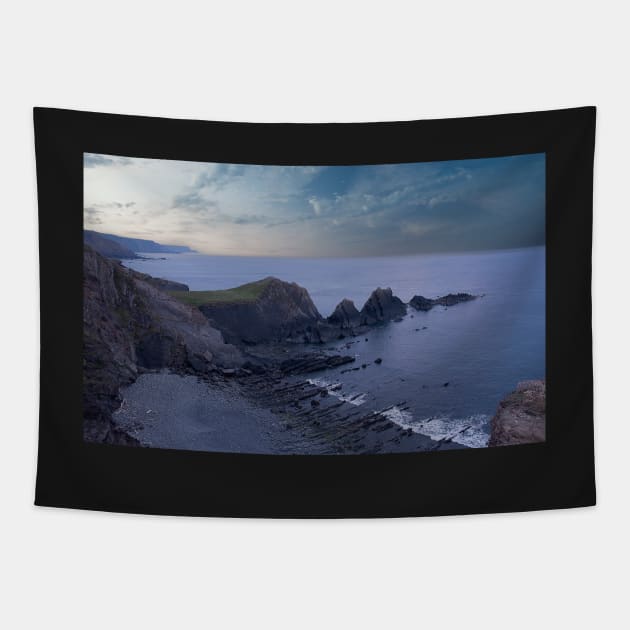 Hartland Coastline Tapestry by Graz-Photos