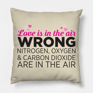 Love is in the air.... Pillow