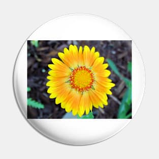 Orange & Yellow Daisy Pin