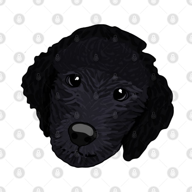 Poodle by crankycranium