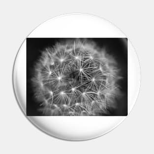 Dandelion Pin