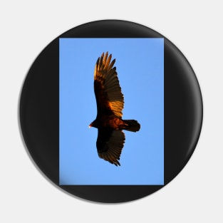 Turkey Vulture Pin