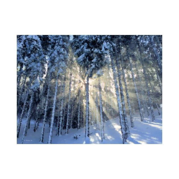 Dappled Sunlight in Winter Forest by RainbowStudios