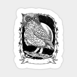 Nighty Owl Magnet