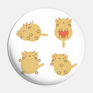 Potato cat set Pin