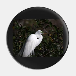 Great Egret with Breeding Colors and Plumes Pin