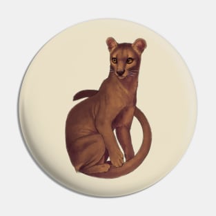 Fossa Pin