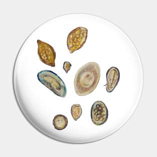 parasitic worm eggs Pin