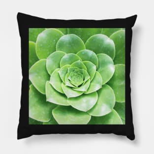 Plant print, Cactus print, Succulent, Scandinavian print, Trendy print, Styled, Pillow, Modern art, Wall art, Print, Minimalistic, Modern Pillow