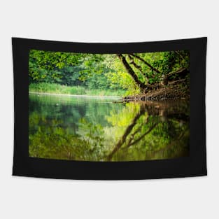 Swamp harmony Tapestry