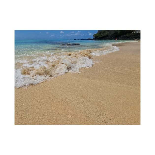 Mauritius beach shoreline by TDArtShop