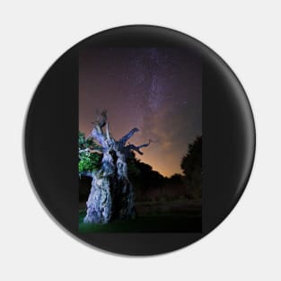 The Laund Oak Tree and The Milky Way 5863 Pin