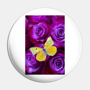 Yellow Butterfly Resting On Purple Red Roses Pin