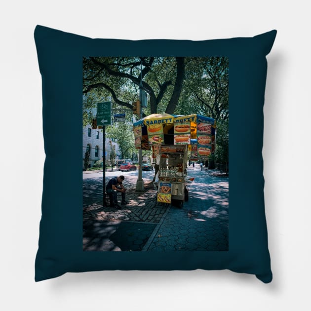 Central Park Fifth Avenue Manhattan New York City Pillow by eleonoraingrid