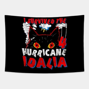 I survived the CAT 4 Hurricane Idalia Tapestry