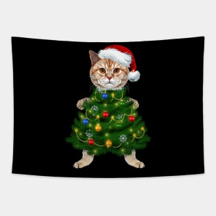 Santa Maine Coon Cat Christmas Tree Light Funny Xmas Cat Tapestry