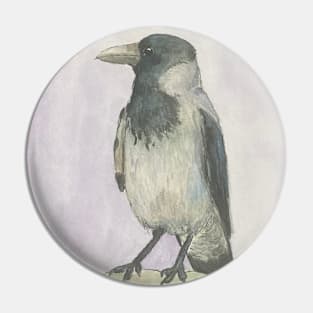 Crow bird Pin