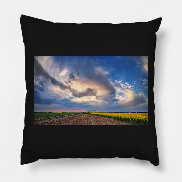 Shed with Canola Pillow by PeterH