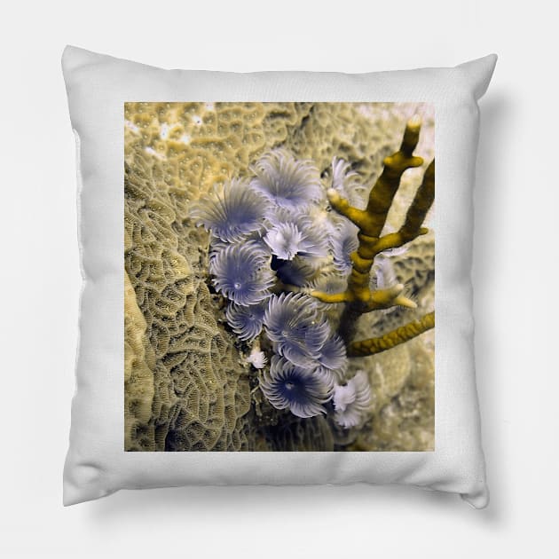 Underwater Bouquet Pillow by Scubagirlamy