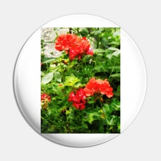 Bright Red Geraniums Pin