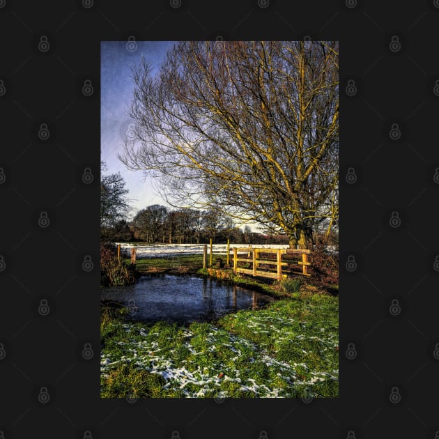 The Brook at Tidmarsh by IanWL