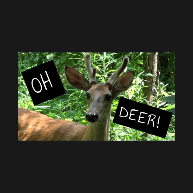 Oh Deer! by GREENSPACEHAPPYFACE