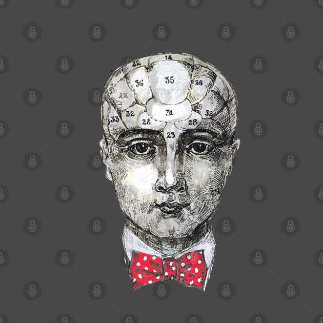 Phrenology head - bowtie by FanitsaArt