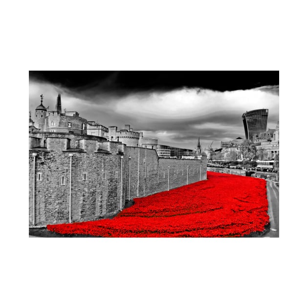 Tower Of London Poppies Red Poppy UK by Andy Evans Photos