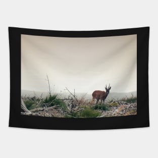 Deer in the Scottish Wilderness Tapestry