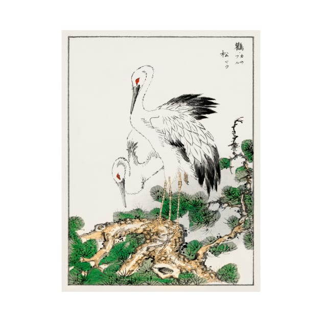 Japanese Stork and Pine Tree woodblock print by Veiovis