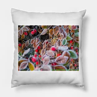 winter berries Pillow