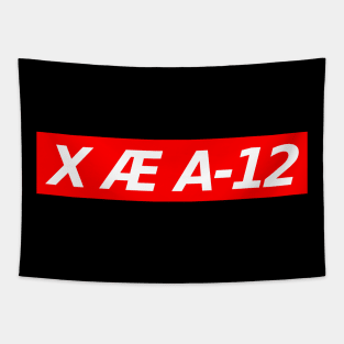 X Æ A-12 Tapestry