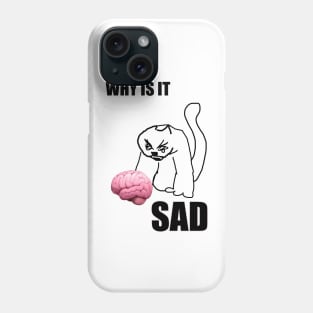 why is it sad cat Phone Case