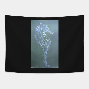 Sea horse Tapestry