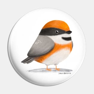 Black Throated Bushtit Bird Pin