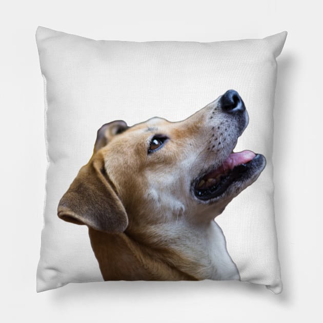 i love dog Pillow by rickylabellevie