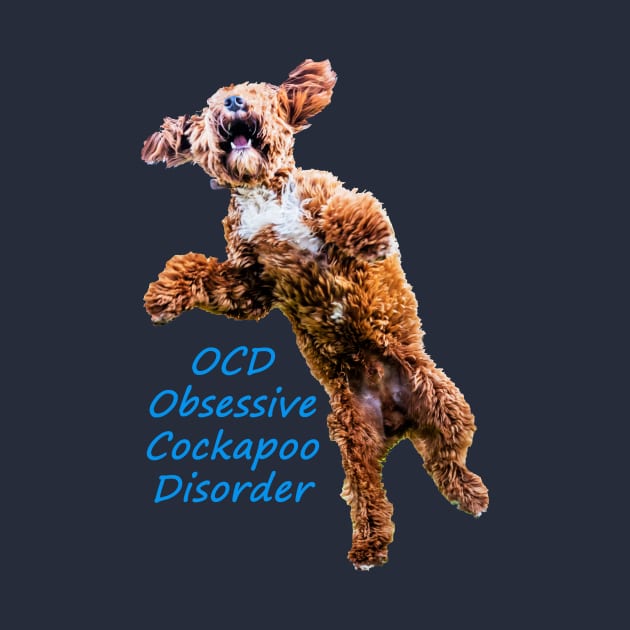 OCD Obsessive Cockapoo Disorder by tommysphotos