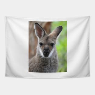 Swamp Wallaby Tapestry