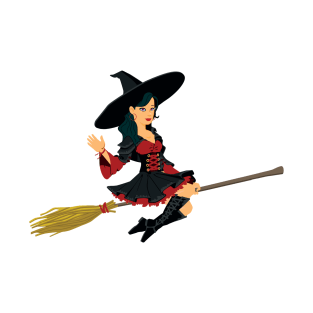 Which On Broomstick T-Shirt