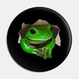 Funny Tree Frog Pin