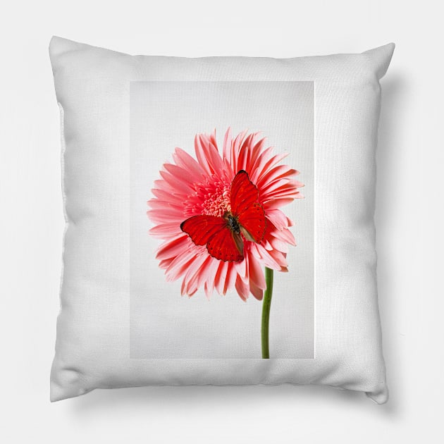 Red Butterfly On Pink Mum Pillow by photogarry