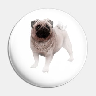 Mops Pin