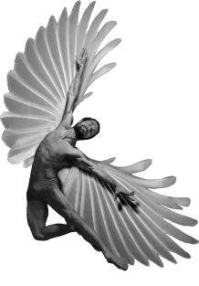 Icarus Magnet