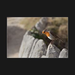 Friendly Robin Red Breast T-Shirt